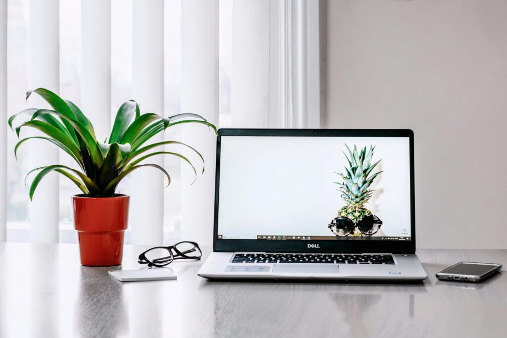 An image showing a laptop and a plant, the laptop contains information about SEO