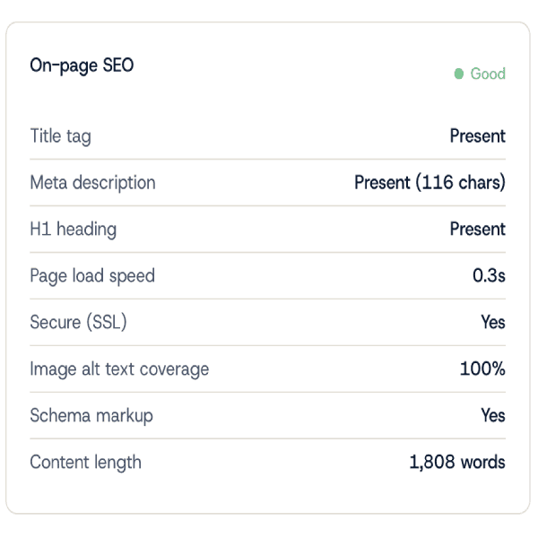 Red Fin Digital SEO audit report showing on-page SEO checks