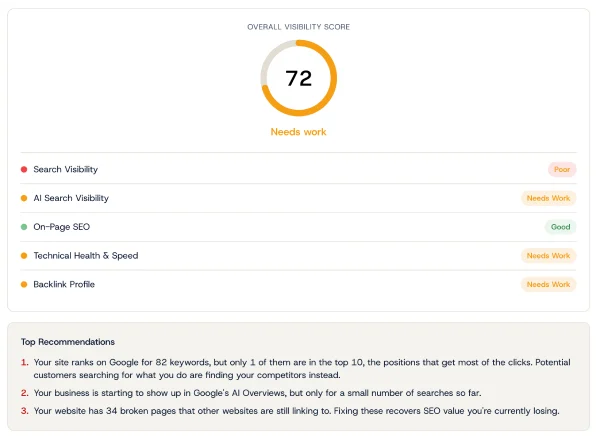 Overview screen of a Red Fin Digital SEO audit report